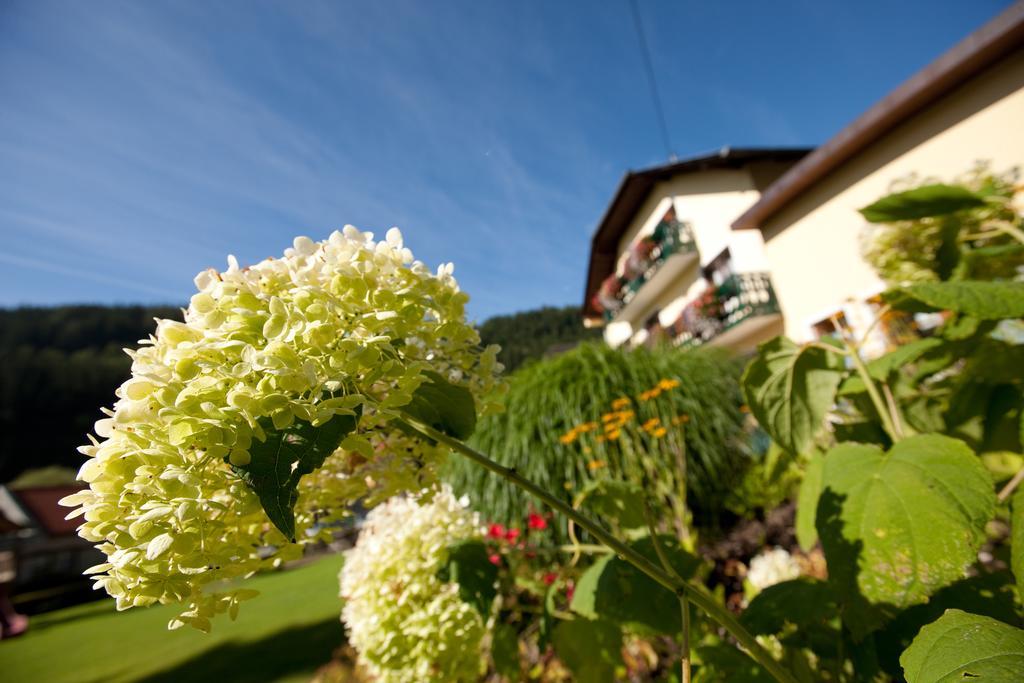 Hotel Moenichwalderhof Monichwald Exterior photo